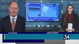 New legislation protects pets from extreme weather conditions
