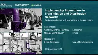 Implementing Biomethane in Transmission and Distribution Networks