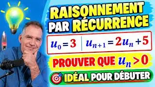 raisonnement par récurrence ♦ Exercice idéal pour débuter ♦ Terminale spé maths