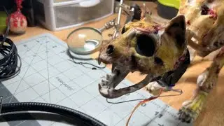 DIY using Arduino servos for props