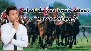 what do you know about horse racing?