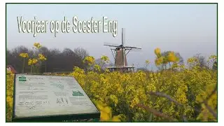 Voorjaar op de Soester Eng