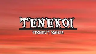 Tenekoi - Bishrut saikia ( official music lyrical)new Assamese song,Assamese song 2024 , tenekoi