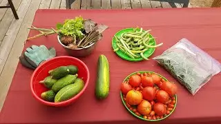 The Good, the Bad and the Garden