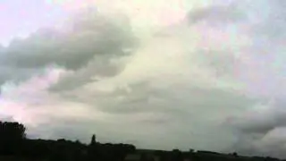 Skylarks singing in flight