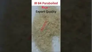 IR 64 Parboiled Rice  Export Quality