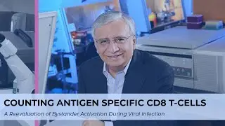 Counting Antigen-Specific CD8 T Cells: A Reevaluation of Bystander Activation during Viral Infection