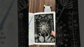 The Art of Nature is Math!