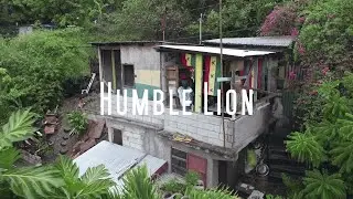 Bamboo Kallum x Iida Sams - Humble Lion (Music Video)