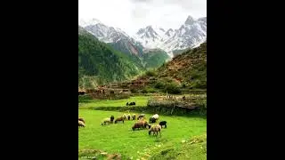 Mind blowing Bulachi Valley | Skardu | Gilgit Baltistan | Beautiful Pakistan #shorts #youtubeshorts