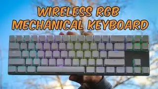Drevo Calibur 71 Wireless RGB Mechanical Keyboard - Unboxing & Review