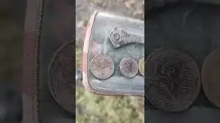 minelab X-terra pro coil v8x  открытие сезона поиска на суше 2026
