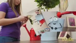 Veg Replace Tennis Flood In A Flower Pot 3D Animation Augmented Reality by DOODS Rounds