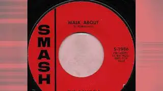 The Ron-Dels - Walk About 1965