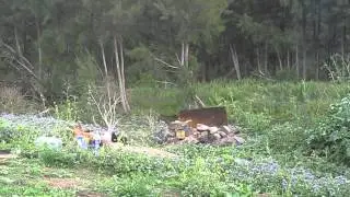 Wallaby Rocks Campsite cleanup -- controlled disposal part the first