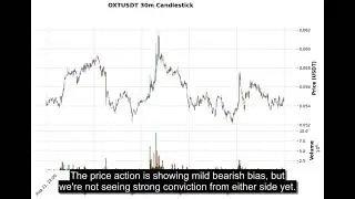 OXT (OXTUSDT) Technical Analysis - Price Prediction & Buy or Sell August 22, 2025