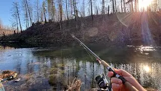 Winter steelhead fishing on the North Umpqua River 