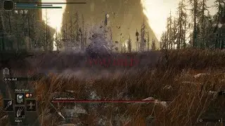the WORST ELDEN RING BOSS made me LOSE MY MIND