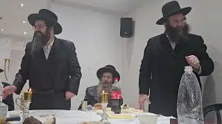 הילולת הצמח דוד עם האדמו