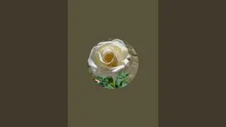 Arshiya Khatoon is live! #friend # viral