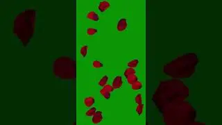 Free Green Screen Rose Petals Falling for YouTube #Shorts #video