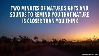 Two minutes of nature sights and sounds that are closer than you think