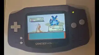 POKEMON EMERALD BATTLE FRONTIER - DOME ACE TUCKER GOLD   SYMBOL