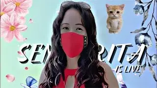 🔥 4.2 Update Here | Non-Stop Rank Push with Girl Gamer | BGMI Live @SenoritaIsLive