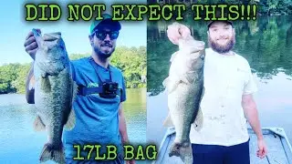 Catching MONSTER BASS In SUMMER Fishing SHALLOW (DIDN'T EXPECT THIS) #bassfishing #summer #fishing