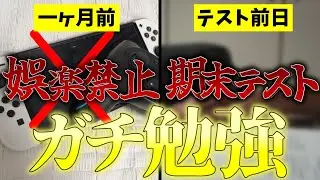 【検証】一か月本気で勉強し期末テスト学年一位を目指した結果…！