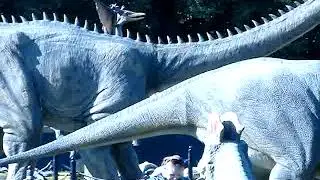 MOV05490