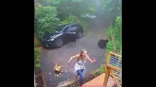 Oh My God! Bear in my car