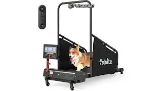 PETSITE Dog Treadmill Review: Is It Worth the Investment for Your Dog's Fitness?