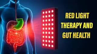 Red Light & The Gut: Real Data, Real Stories