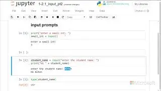 input prompts  - Introduction to Python: Absolute Beginner Module 1 Video 16