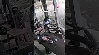 Huge king cobra attacks woman while she cooks in Thailand 🐍 #snake #shorts