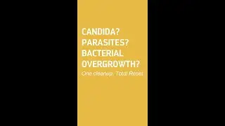 Candida? Parasites? Bacterila Overgrowth? One Cleanup. Total Reset.