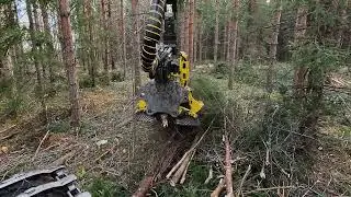 Moipu 300F1 energy and pulpwood harvesting | energia- ja kuitupuun korjuu