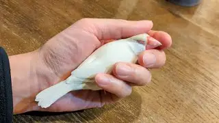 クリーム文鳥に全力で甘えられるとこうなります