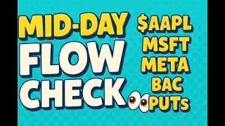 💥 Mid-Day Flow Check: $AAPL Call Whale 🐳 | $BAC Bear Puts | $META, $MSFT Heat Up! 🔥