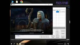 MIR4 PRIVATE SERVER ROGUE/DRAGON WORLD/AWAKENING AUTO BOT