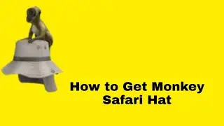 How To Get Safari Monkey Hat in Mobile