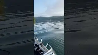 Raystown Striper