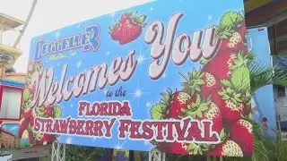 Sweet Success: Florida Strawberry Festival on track for record year