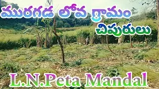 Muragada Lova | Chipuru | yavasaya Pantta | Manmada Rao | Chipuru | Konda