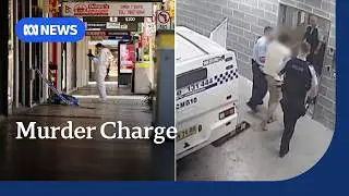 Man charged with murder over deadly stabbing spree in Merrylands | ABC NEWS