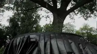 Arbor Morgana Trompenburg.mov