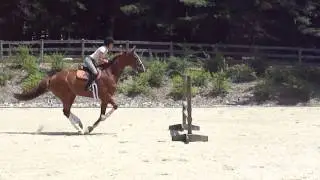 Ruhiger Lauf - Renee Jump