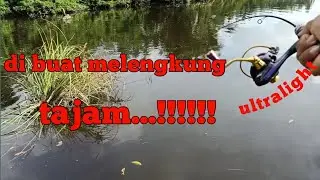 casting ikan bulan/Indo pacific menggunakan mini popper di bagan lipas