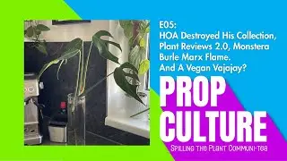 E05: HOA Destroyed His Collection, Plant Reviews 2.0, Monstera Burle Marx Flame. And A Vegan Vag...?